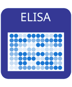 Custom Human Livin ELISA Kit 1 x 96 well strip plate | Medical Supply Company