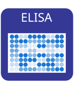 Custom Human Low-density Lipoprotein (LDL) Receptor ELISA Kit 1 x 96 well strip plate | Medical Supply Company