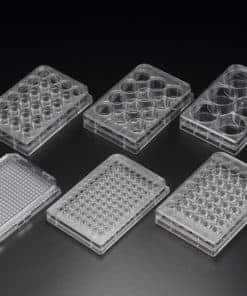 Cell Culture Plate | Medical Supply Company