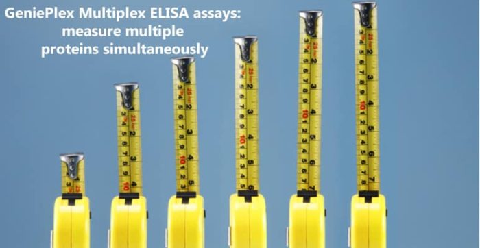 Multiplex ELISA kits from as little as 15µl of sample | Medical Supply ...