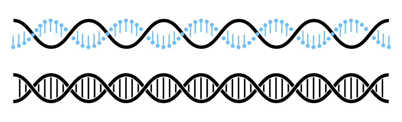 PCR Biosystems