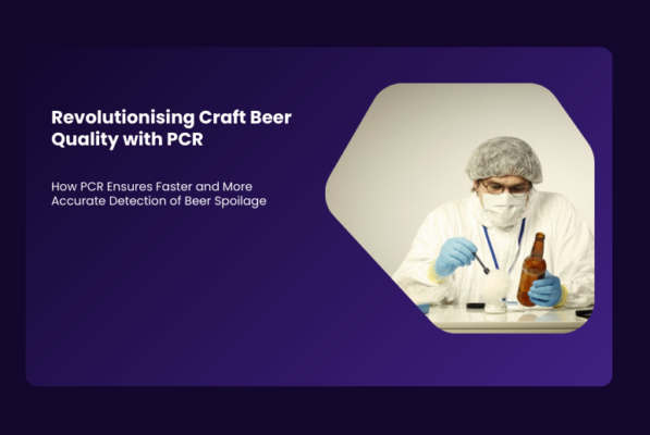 PCR, technology for beer spoilage detection | Medical supply Company