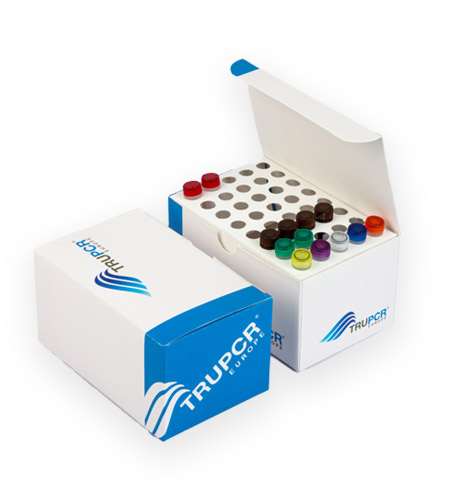 product box image home page v2
