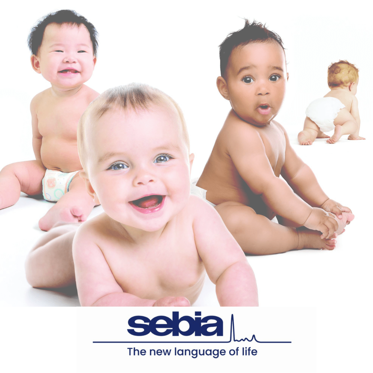 Capillarys 3 DBS Advancing Newborn Screening | Medical Supply Company