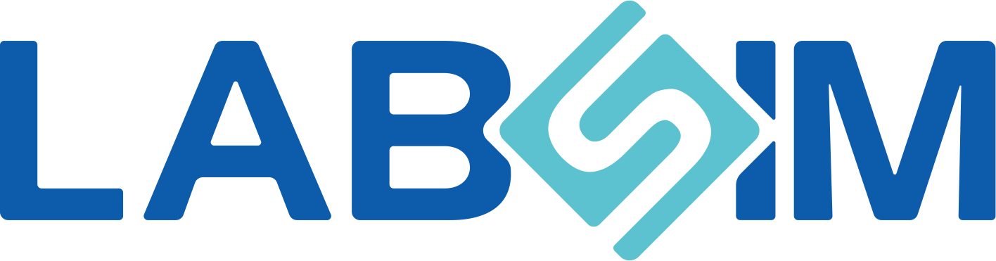 Labsim logo